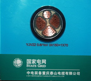 1KV交联聚乙烯绝缘电力电缆（YJV）2