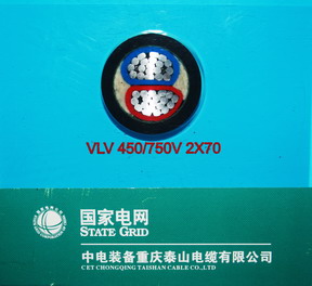 1KV聚录乙烯绝缘电力电缆（VV）4